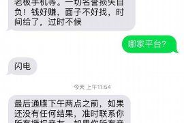 饶河专业催债公司的市场需求和前景分析